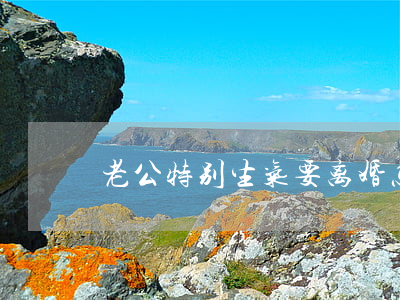 老公特别生气要离婚怎么办