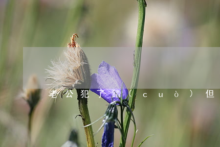 老公犯了錯(cuò)但不肯離婚怎么辦