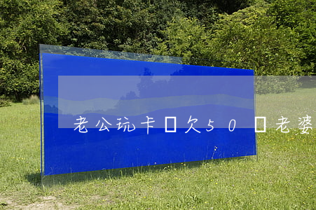 老公玩卡貸欠50萬老婆怎么辦-