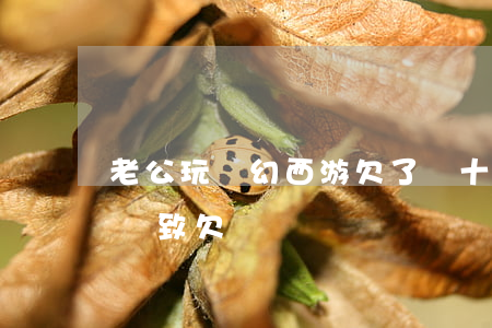 老公玩夢幻西游欠了幾十萬網貸(玩夢幻西游導致欠網貸)