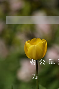 老公玩游戏欠了网贷(老公玩游戏欠了10多万)