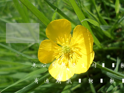 老公用老婆支付寶貸款逾期(公積金貸款老婆有逾期 我還能貸款嗎)