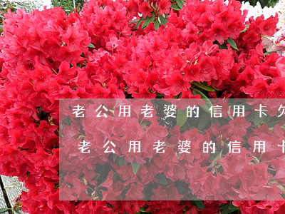 老公用老婆的信用卡欠款離婚不還怎么辦-老公用老婆的信用卡欠款離婚不還怎么辦