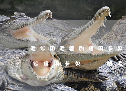老公用老婆的信用卡欠款離婚不還怎么辦(老公信用卡欠債離婚老婆要還嗎)