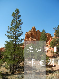 老公申請(qǐng)車(chē)貸信用卡逾期 車(chē)貸卡逾期影響信用嗎