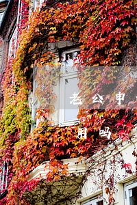 老公申请车贷信用卡逾期 车贷卡逾期影响信用吗