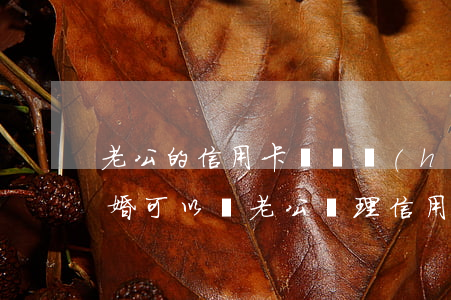 老公的信用卡沒還會(huì)連累我嗎離婚可以嗎（老公辦理信用卡還不起）