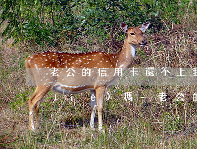 老公的信用卡還不上我會(huì)凍結(jié)嗎-老公的信用卡還不上我會(huì)凍結(jié)嗎怎么辦