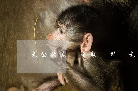 老公的花唄逾期會影響老婆的嗎-