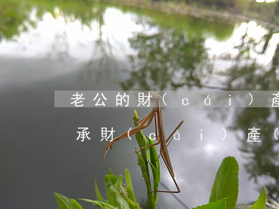 老公的財(cái)產(chǎn)怎么繼承(財(cái)產(chǎn)如何繼承)