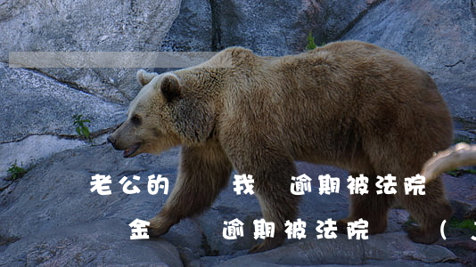 老公的車貸我們逾期被法院凍結(jié)資金（車貸逾期被法院凍結(jié)賬戶）
