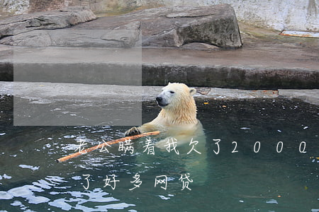 老公瞒着我欠了2000网贷(老公瞒着我欠了好多网贷)