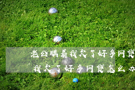 老公瞒着我欠了好多网贷怎么办-老公瞒着我欠了好多网贷怎么办呢