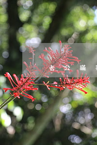老公瞞我用7張信用卡逾期怎么辦