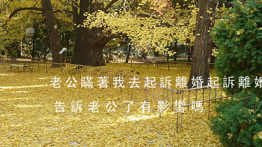 老公瞞著我去起訴離婚(起訴離婚,剛立案我就告訴老公了,有影響嗎)