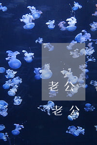 老公瞞著我欠了2000網(wǎng)貸(老公瞞著我欠了好多網(wǎng)貸)