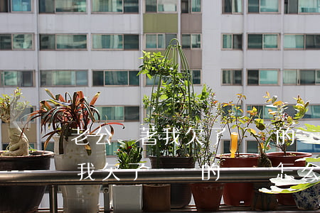 老公瞞著我欠了幾萬的網貸怎么辦(老公瞞著我欠了幾萬的網貸怎么辦)