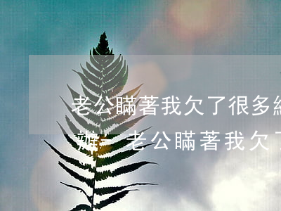 老公瞞著我欠了很多網(wǎng)貸怎么辦-老公瞞著我欠了很多網(wǎng)貸怎么辦?