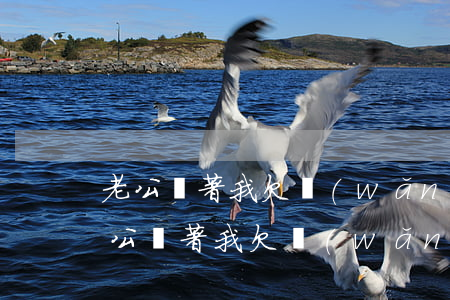 老公瞞著我欠網(wǎng)貸該說什么(老公瞞著我欠網(wǎng)貸該說什么)