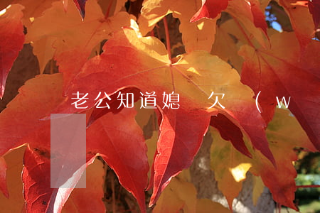 老公知道媳婦欠網(wǎng)貸的反應