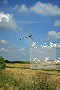 老公知道我出軌后又離婚對(duì)我很冷(老公出軌,冷戰(zhàn)后不知道對(duì)方是否要離婚)