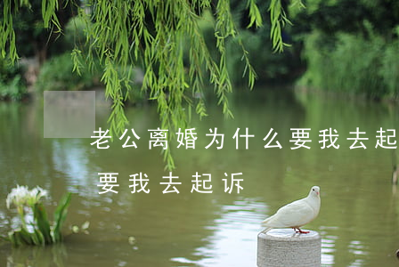 老公离婚为什么要我去起诉(老公离婚为什么要我去起诉)