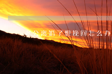 老公离婚了想挽回怎么办