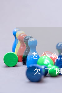老公离家出走欠了网贷怎么办（老公离家出走欠了网贷）