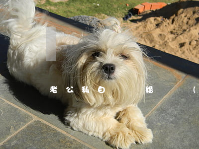 老公私自賣離婚財產(chǎn)怎么辦