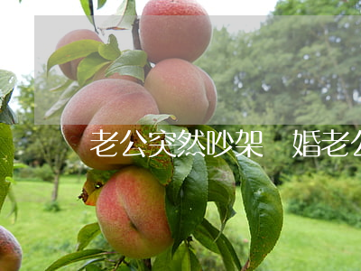老公突然吵架離婚(老公突然吵架離婚)