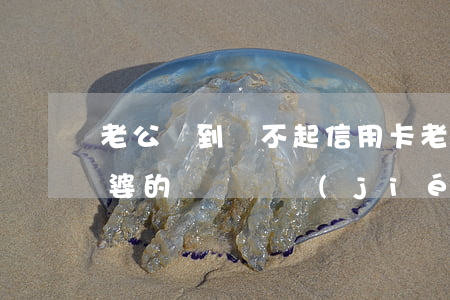 老公窮到還不起信用卡(老公還不上信用卡老婆的錢會凍結(jié)嗎)