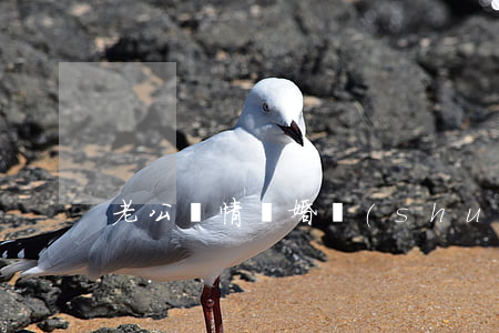老公絕情離婚誰(shuí)都勸不住