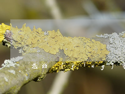 老公經(jīng)常出軌但不想離婚怎么辦