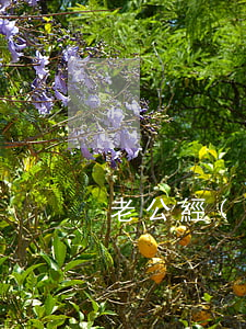 老公經(jīng)常吵架后離婚怎么辦