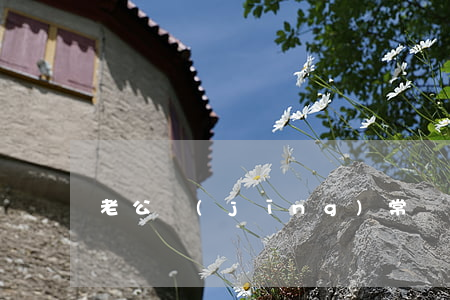 老公經(jīng)常說離婚怎么辦