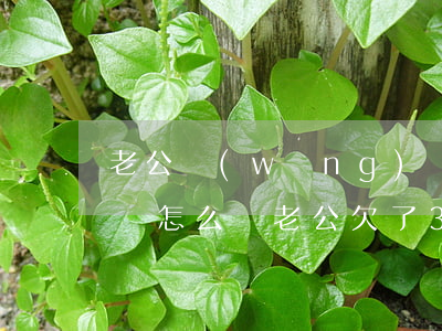 老公網(wǎng)貸30萬(wàn)我該怎么辦（老公欠了30多萬(wàn)網(wǎng)貸）