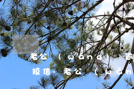 老公網(wǎng)貸逾期我收到司法提醒短信-老公網(wǎng)貸逾期我收到司法提醒短信怎么辦