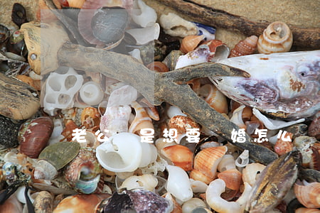 老公總是想要離婚怎么辦