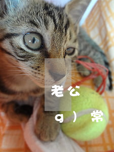 老公總會(huì)想離婚(老公經(jīng)常說(shuō)要離婚你會(huì)怎么辦?)