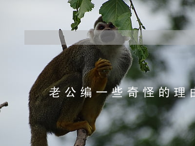 老公编一些奇怪的理由离婚(离婚的n种理由)