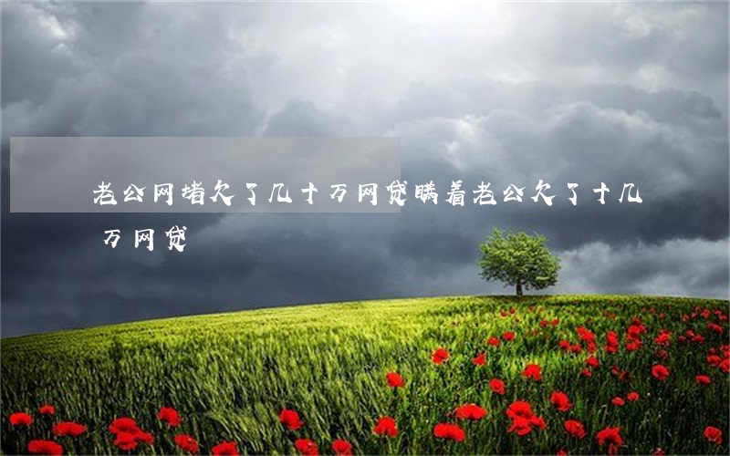 老公网堵欠了几十万网贷(瞒着老公欠了十几万网贷)