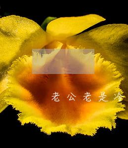 老公老是冷戰(zhàn)不離婚怎么辦