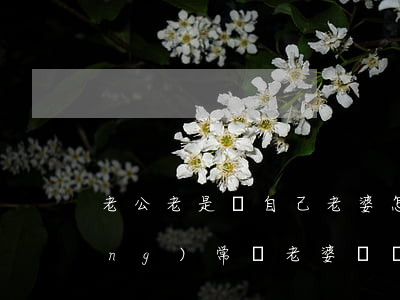 老公老是罵自己老婆怎么離婚(丈夫經(jīng)常罵老婆,該離婚嗎)