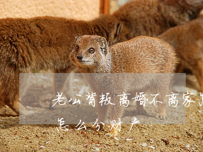 老公背叛离婚不离家怎么办(老公背叛离婚该怎么分财产)