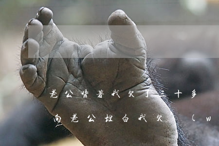 老公背著我欠了三十多萬網(wǎng)貸(向老公坦白我欠網(wǎng)貸二十多萬)