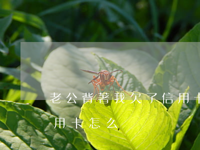 老公背著我欠了信用卡-老公背著我欠了信用卡怎么辦
