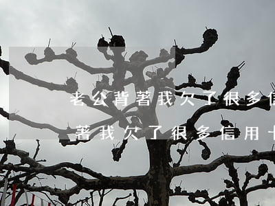 老公背著我欠了很多信用卡怎么辦-老公背著我欠了很多信用卡怎么辦呢