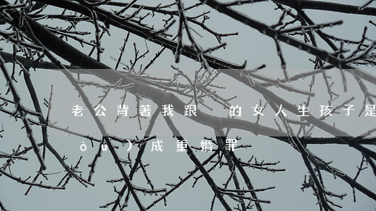 老公背著我，跟別的女人生孩子，是不是構(gòu)成重婚罪