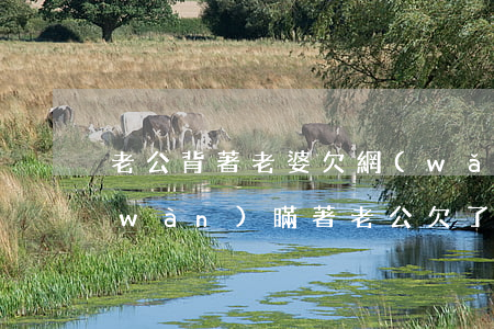 老公背著老婆欠網(wǎng)貸60萬(wàn)(瞞著老公欠了十幾萬(wàn)網(wǎng)貸)