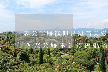 老公能赚钱但是没有关爱我想离婚(有没有因为老公赚不到钱离婚的)
